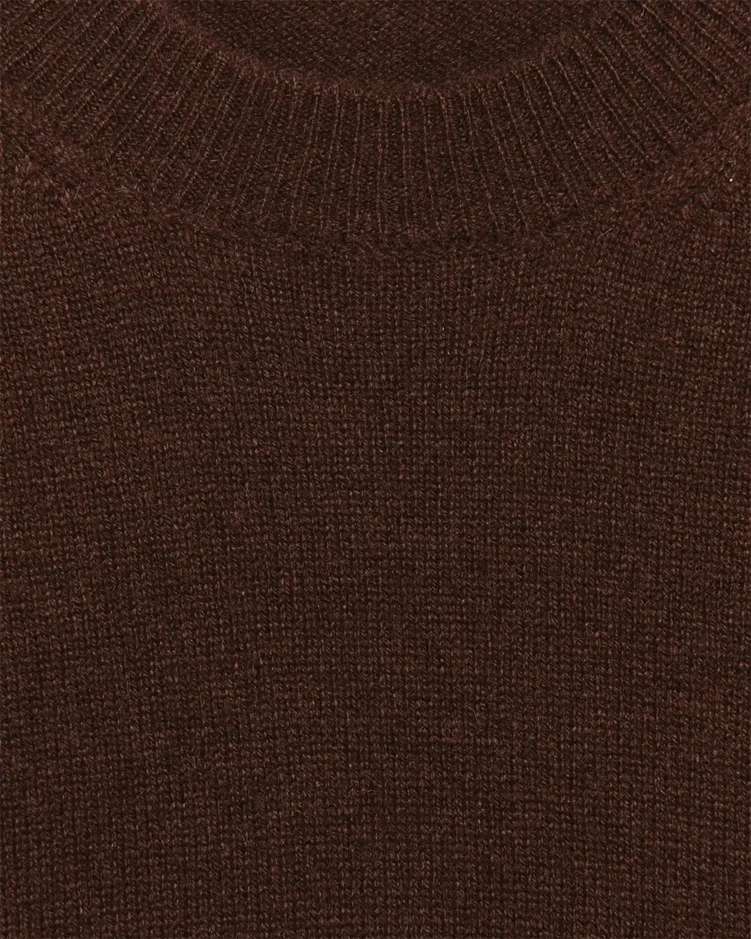 JERSEY BROKE CHOCOLATE