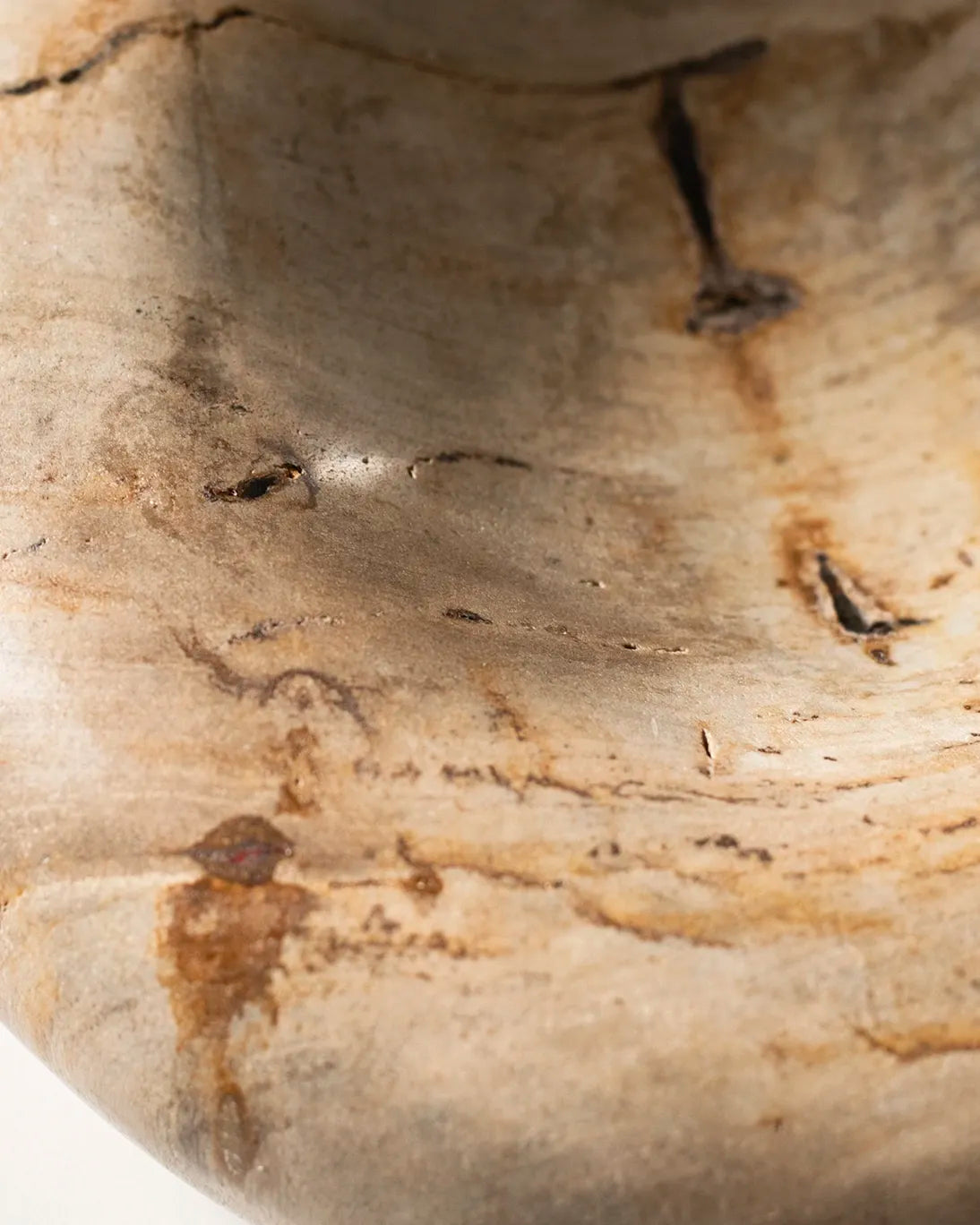 PETRIFIED WOOD CENTER 30X8 CM