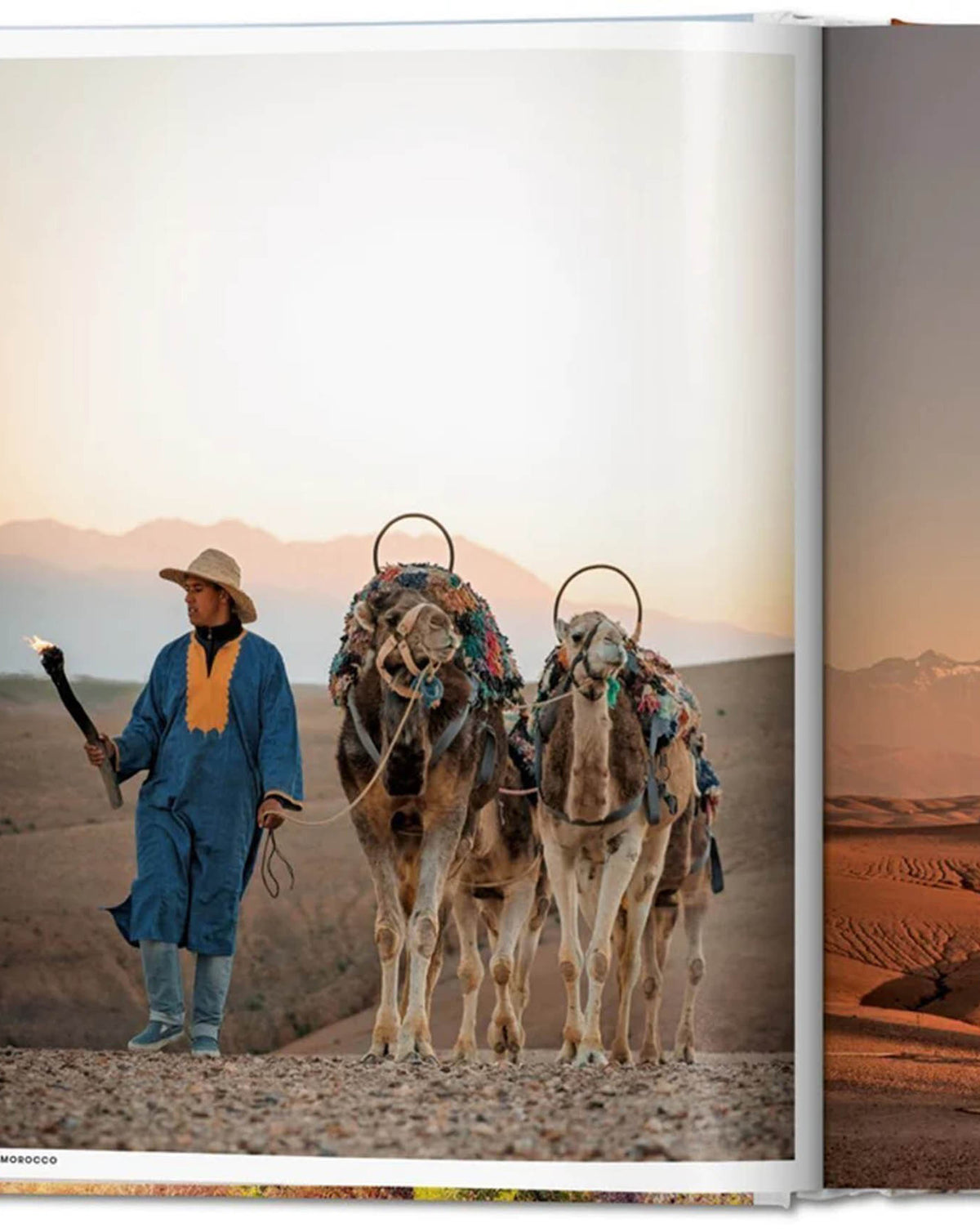 LIBRO GREAT ESCAPES AFRICA