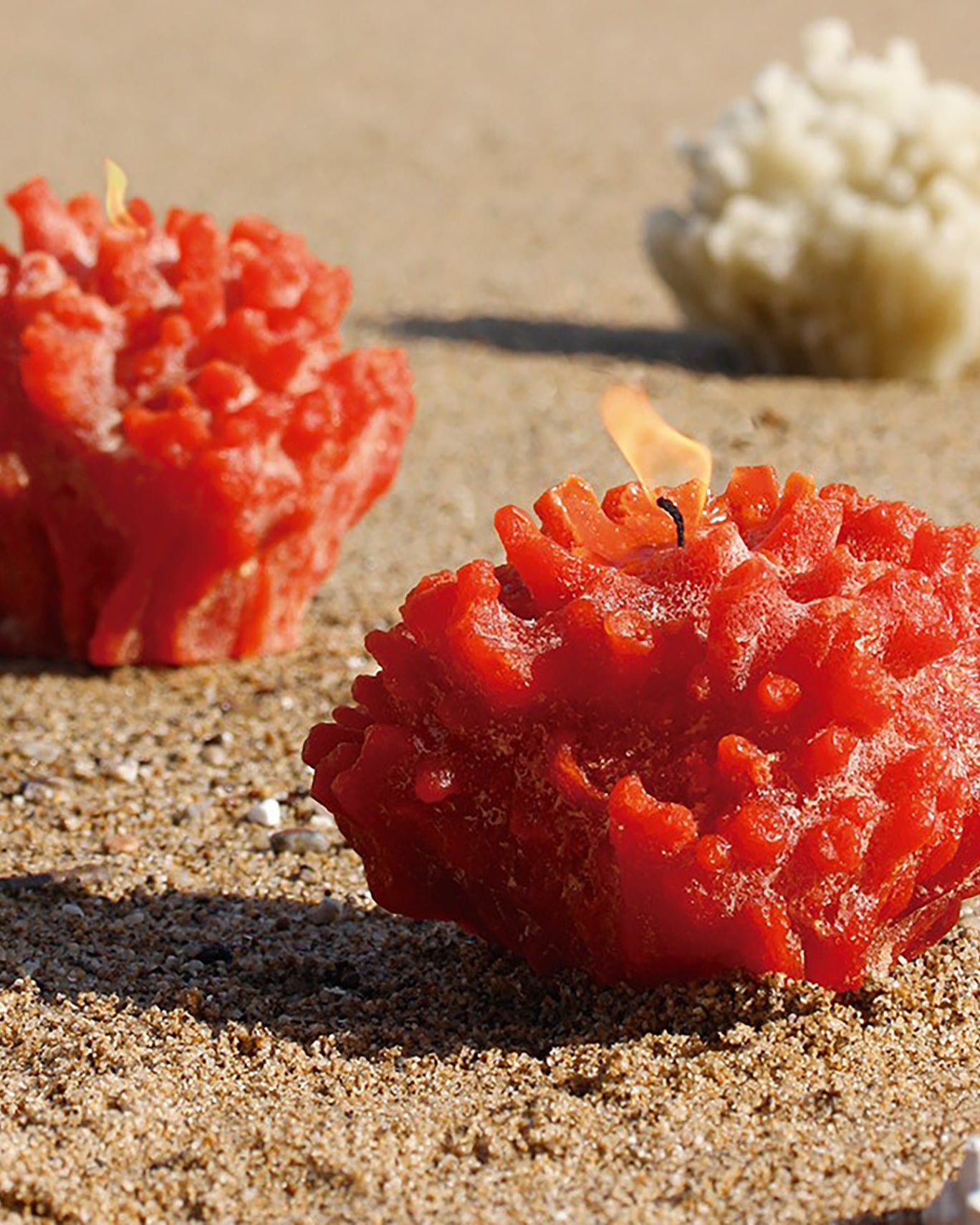 CORAL CANDLE