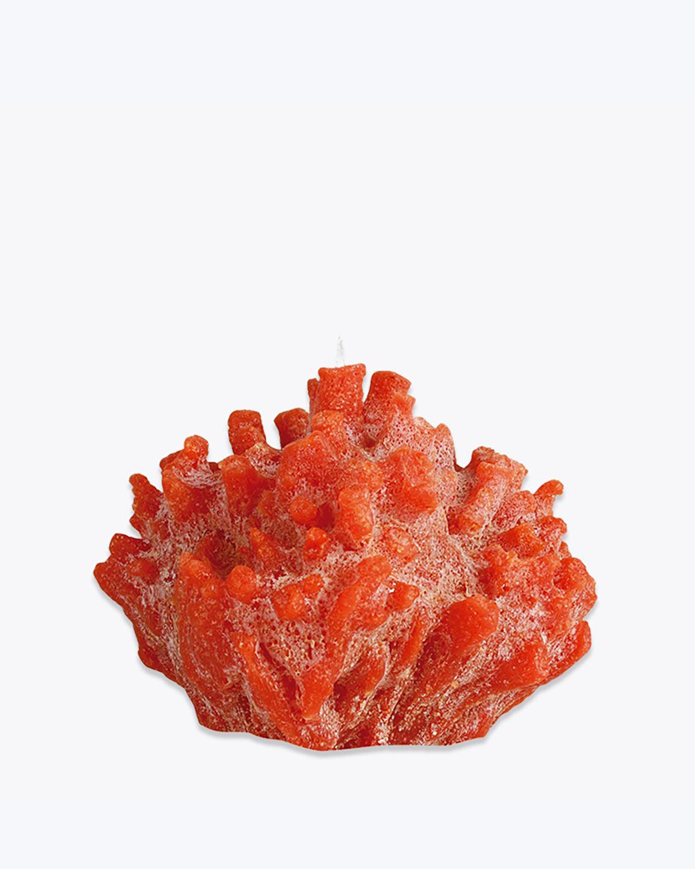 CORAL CANDLE