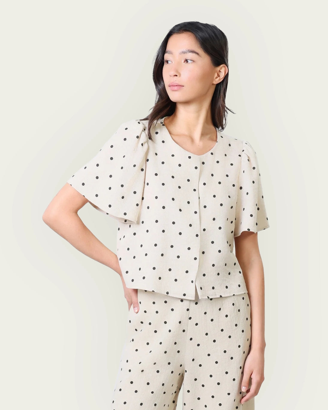 TOP DAISY TOPOS