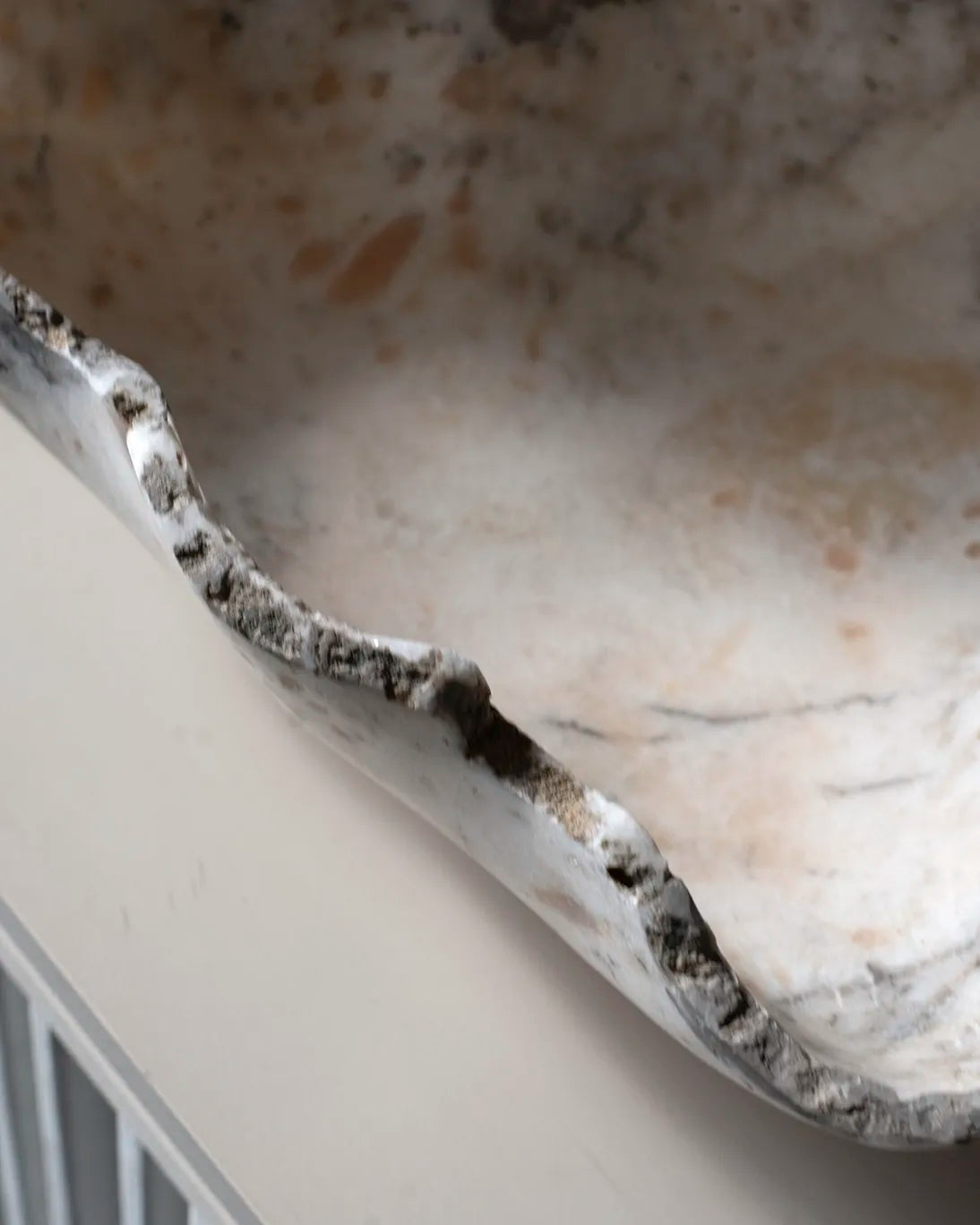 PETRIFIED WOOD CENTER 30X8 CM