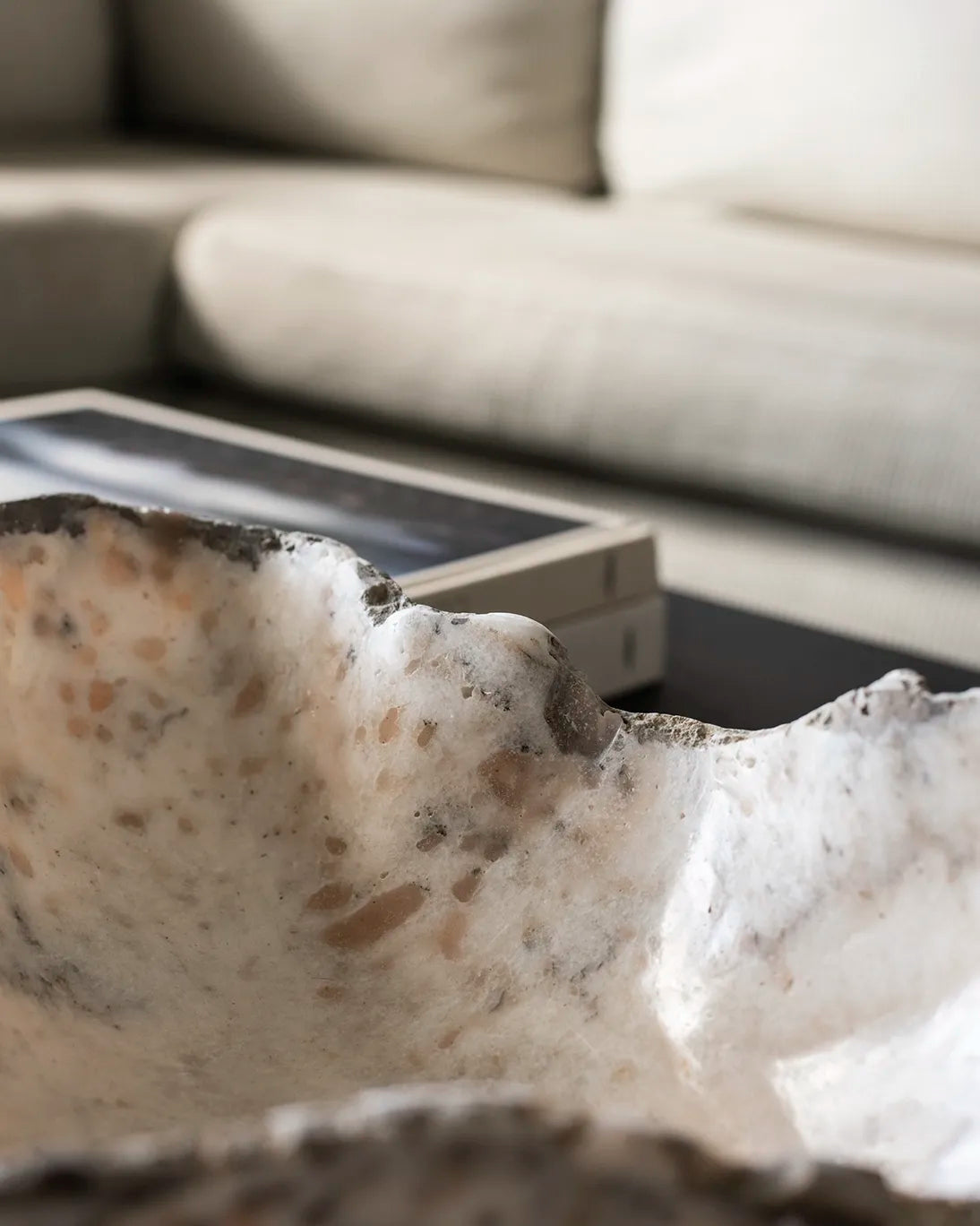 PETRIFIED WOOD CENTER 30X8 CM