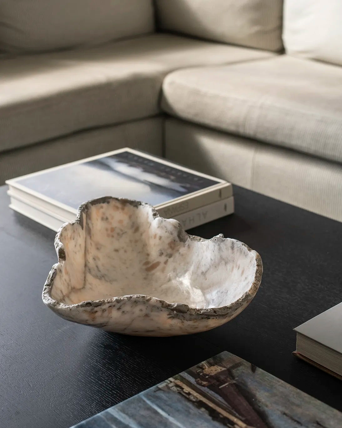 PETRIFIED WOOD CENTER 30X8 CM