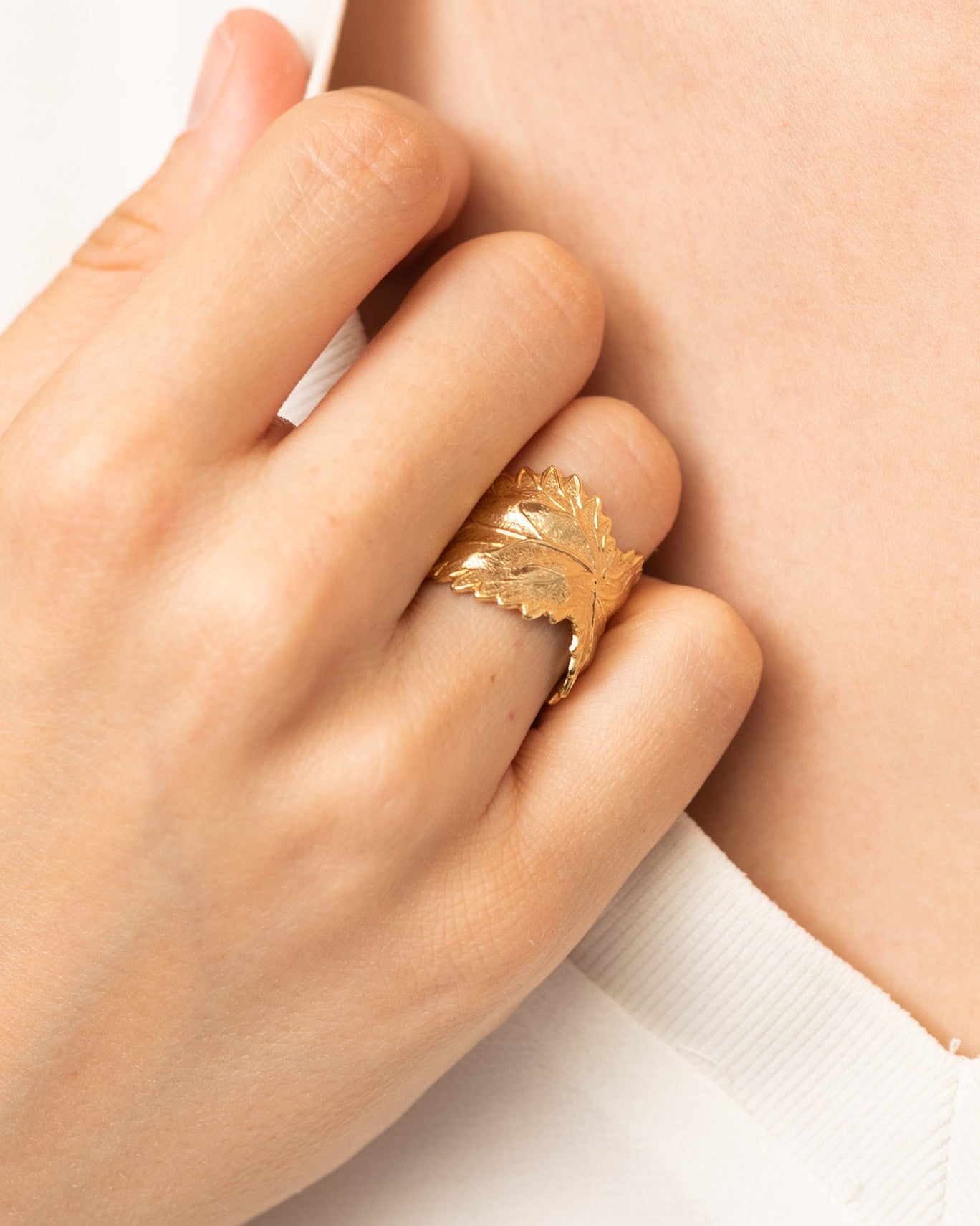 ANILLO LEON